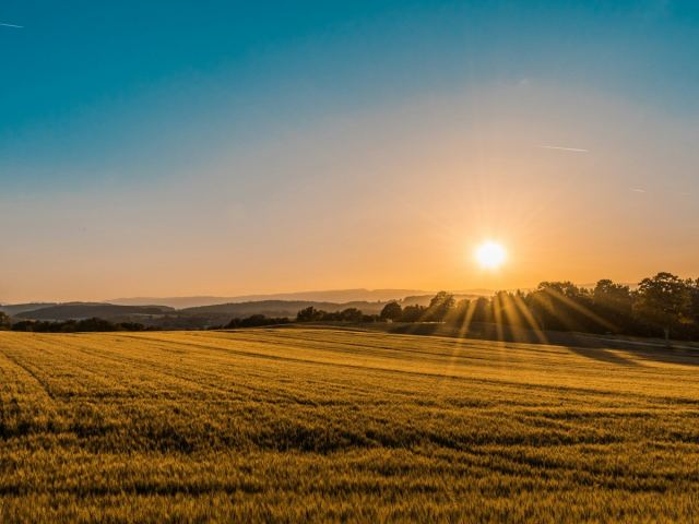 Terreno plano em área de expansão